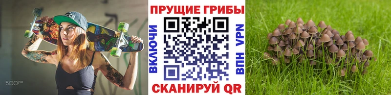 купить   mega маркетплейс  Галлюциногенные грибы Magic Shrooms  Углегорск 
